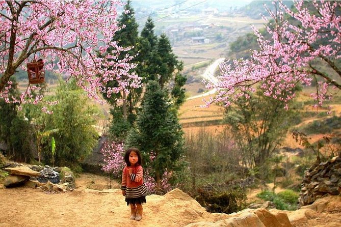 Sapa 3 Days 2 Nights Bac Ha Market From Ha Noi - Hotel, meals, and guides: what makes this tour feel smooth