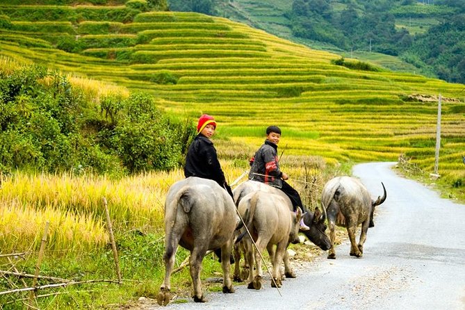 Sapa 3 Days 2 Nights Trekking Tour From Hanoi (2 Nights in Hotel) - Weather, altitude, and what to pack so you don’t suffer