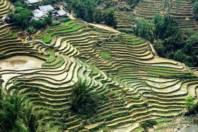 Sapa 3 Days Trek with 2 Nights Homestay - How hard is it? Choosing between standard and tougher quiet-trail routes