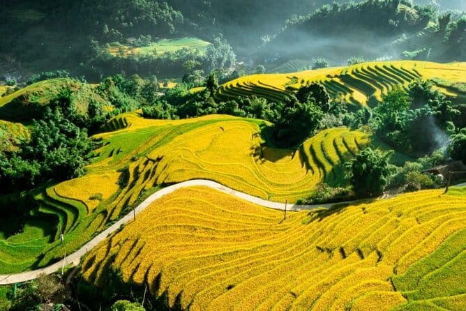 Sapa Adventure Motorbike Tour With Local Guide - Muong Hoa Valley: the stream break and the swim option