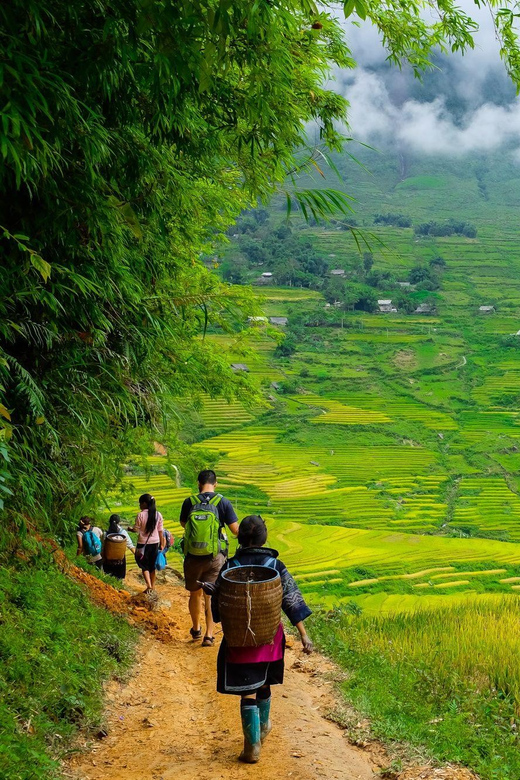Sapa beautiful rice field, village - Easy walking kid,senior - Key things that make this Sapa day tour worth your time