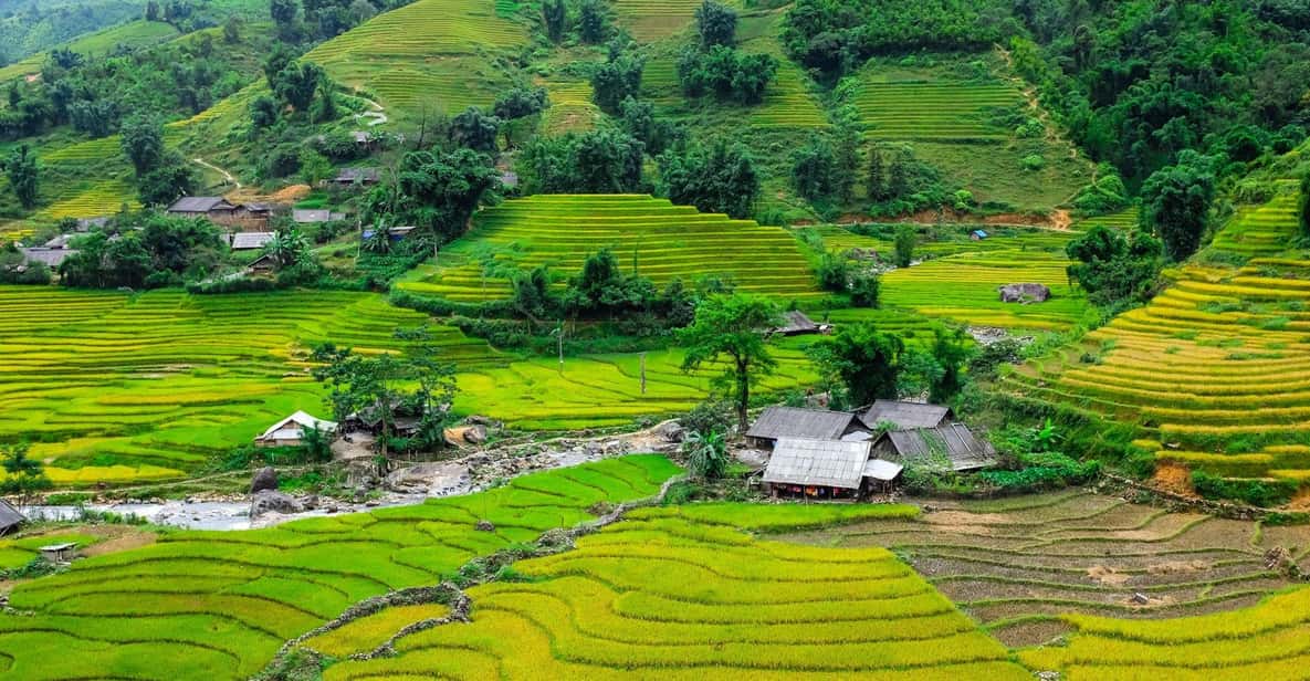 Sapa beautiful rice field, village - Easy walking kid,senior - Stop 1: Y Linh Ho and the Flower valley (Muong Hoa) rice terraces