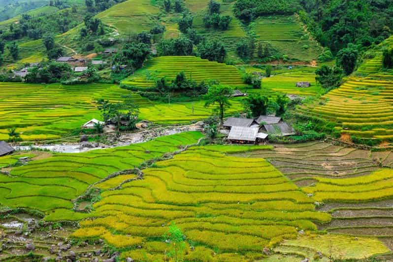 Sapa beautiful rice field, village - Easy walking kid,senior - Stop 2: Giang Cha village and Hmong culture in a small valley