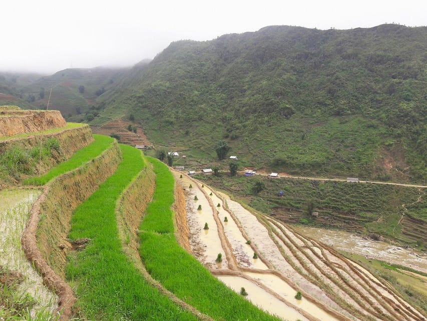Sapa beautiful rice field, village - Easy walking kid,senior - Lunch: local restaurant, valley views, and a real break