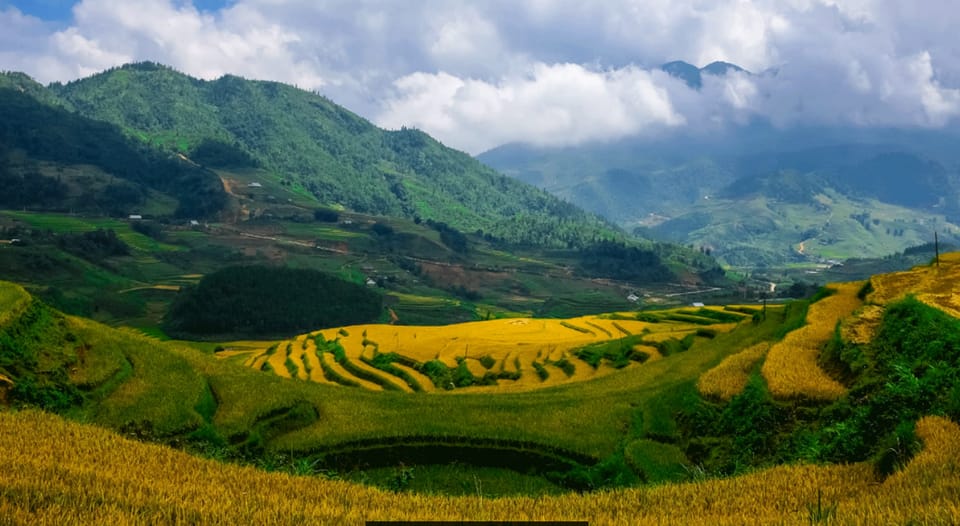 Sapa beautiful rice field, village - Easy walking kid,senior - Afternoon viewpoint walks: plateau views, bamboo, and Ta Phin valley