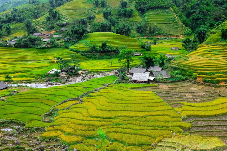 Sapa beautiful rice field, village - Easy walking kid,senior - Your day at a glance: 8:30 start, villages, lunch, and a calm return