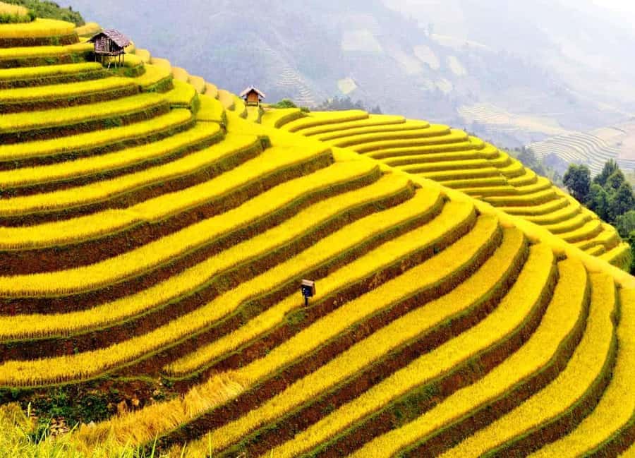 Sapa: Cat Cat Village, Moana, Alpine Coaster, Fansipan Cable - Alpine Coaster vs Stone Church: Ending Your Tour Like a Local
