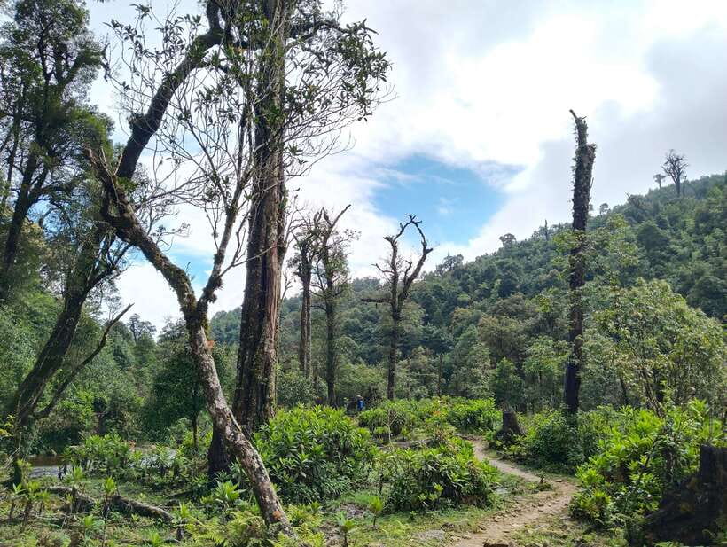 SAPA : Climb up to Fansipan mountain with LOCAL GUIDE - Key highlights worth waking up for