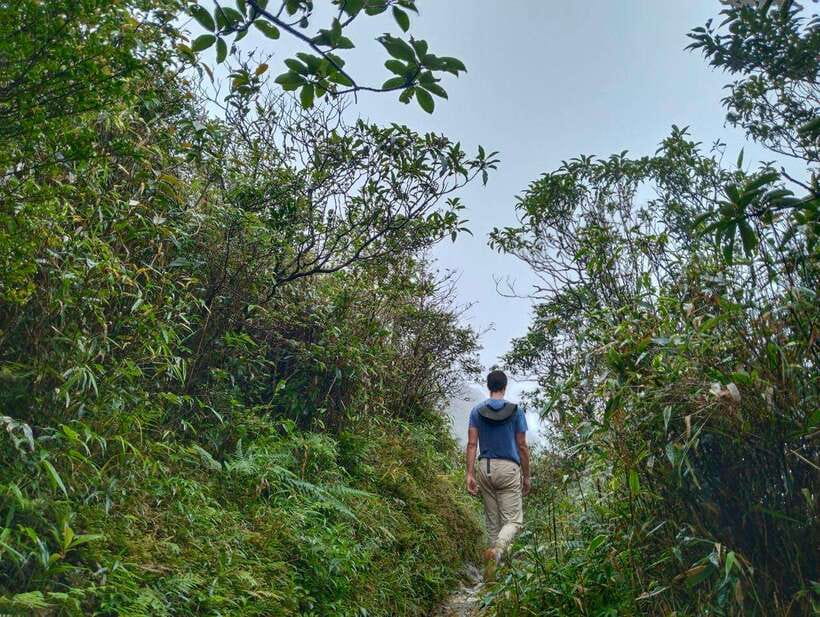 SAPA : Climb up to Fansipan mountain with LOCAL GUIDE - From Tram Ton Pass to your first big uphill grind (about 6:00 AM onward)