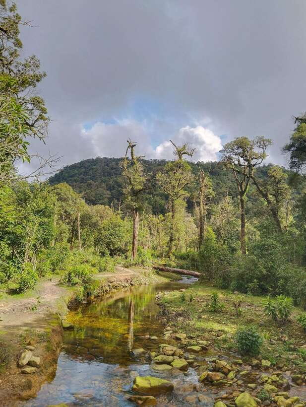 SAPA : Climb up to Fansipan mountain with LOCAL GUIDE - Cardamom and Muong Hoa Valley: where “culture stops” actually happen