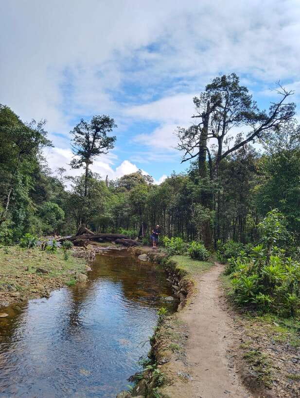 SAPA : Climb up to Fansipan mountain with LOCAL GUIDE - The middle of the hike: expect changes in forest, footing, and energy