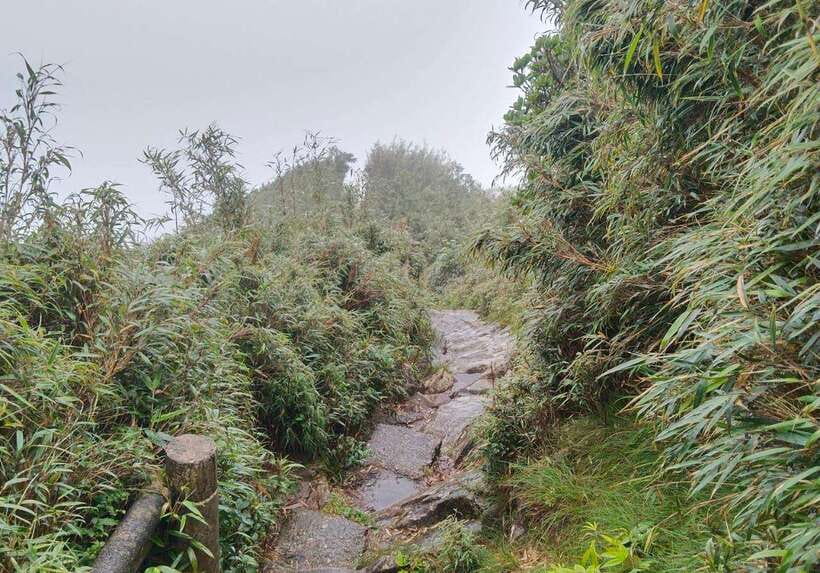 SAPA : Climb up to Fansipan mountain with LOCAL GUIDE - Arriving at Fansipan Peak (3,143m): what the Roof of Indochina moment feels like