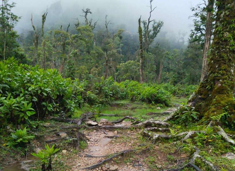 SAPA : Climb up to Fansipan mountain with LOCAL GUIDE - The guide factor: what Za and the team do beyond pointing the way