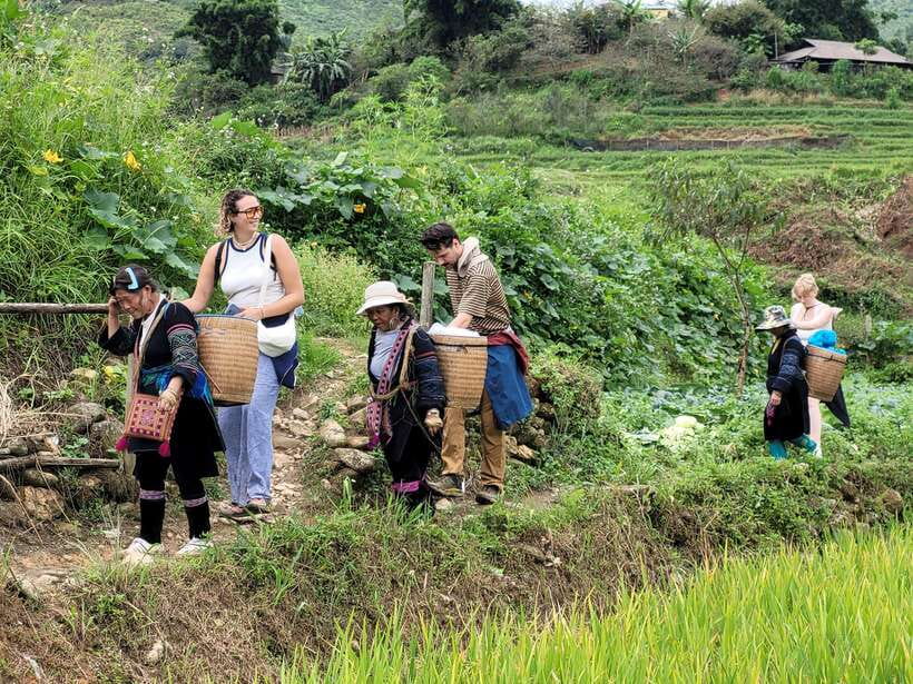 Sapa: Discover the Secrets of the Red Dao: A Healing Journey - Key things to know before you go