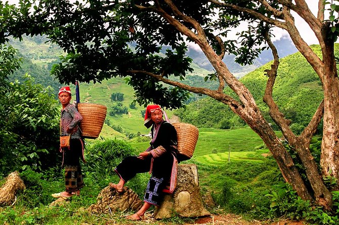 Sapa Easy Trekking Tour 1 Day - Rice Paddies and Cultures - A 9:00 AM start that shapes the whole day