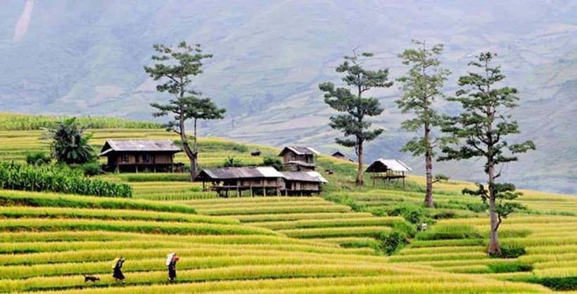 Sapa: Eco Adventure Terrace Fields and Local Villages Trek - Key Things I’d Plan Around