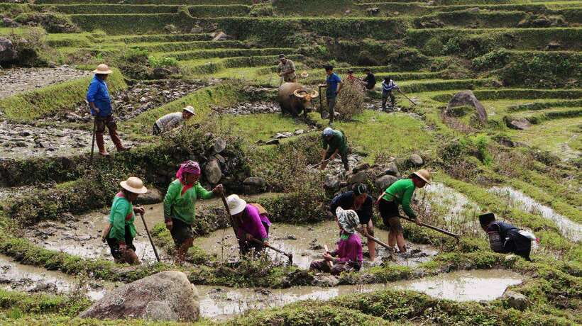 SAPA FREE 1 DAY TREEKKING WITH CHAN - How This “Free” Trek Works in Real Life (and the tipping piece)