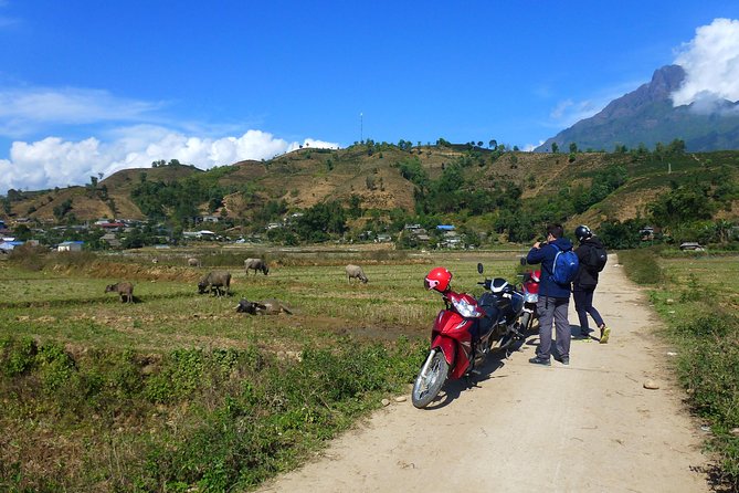 Sapa Full Day Motorbike Tour - Tram Ton Pass: The Road, the Valley, and the Photo Time You’ll Actually Use