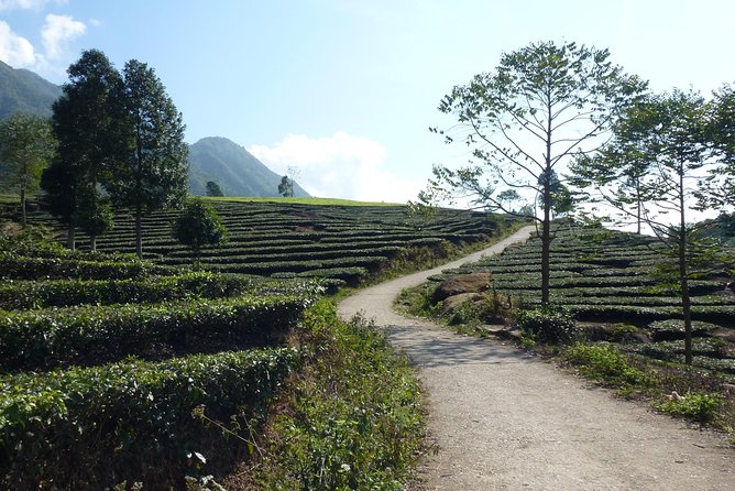 Sapa Full Day Motorbike Tour - Safety, Gear, and the Feel of a Private Riding Day