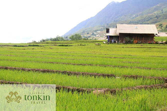 Sapa hard trekking villages homestay 3days/ 2nights tour - amazing culture - Day 1: Ta Van, Y Linh Ho Hmong Terraces, and Lao Chai Village Breaks