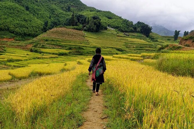 Sapa Local Trekking Adventures - Homestays and included meals: what you can expect to be handled