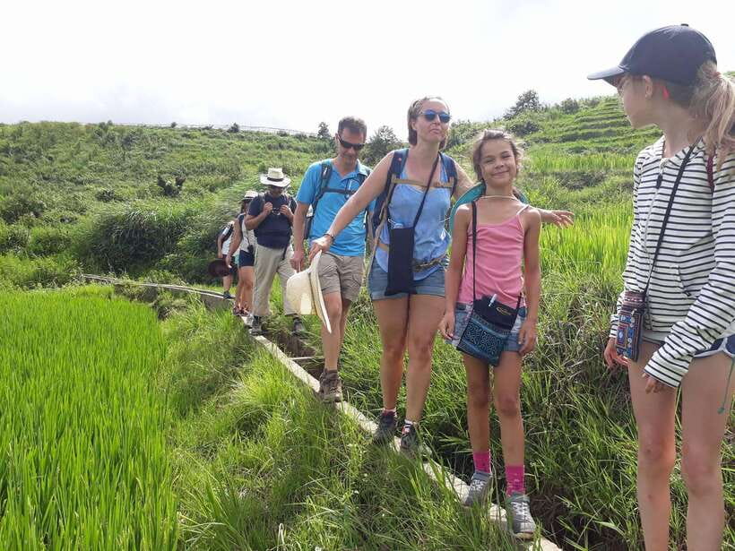 Sapa: Love Silver Waterfall, LonelyTree in Heaven-Rice Field - Lonely Tree in Heaven Gate at O Quy Ho Pass: The Photo Spot With Big-View Pressure