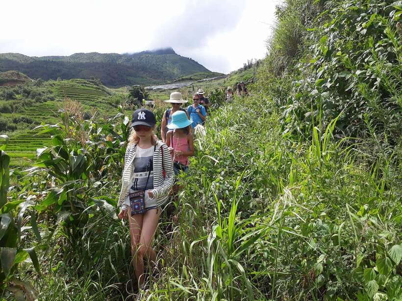 Sapa: Love Silver Waterfall, LonelyTree in Heaven-Rice Field - Price and Value: Is $62 Worth It for a 6-Hour Mixed Day?
