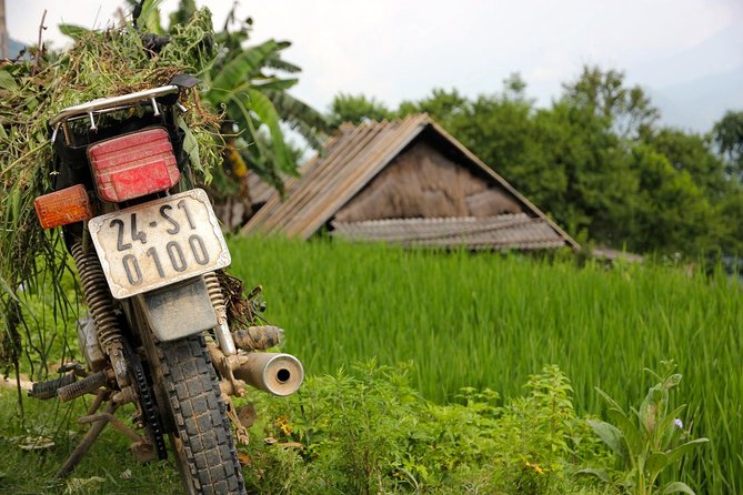 Sapa Motorbike Tour 1 Day| See All Of Rice Fields & Valleys in One Day - Why this one-day Sapa motorbike tour works