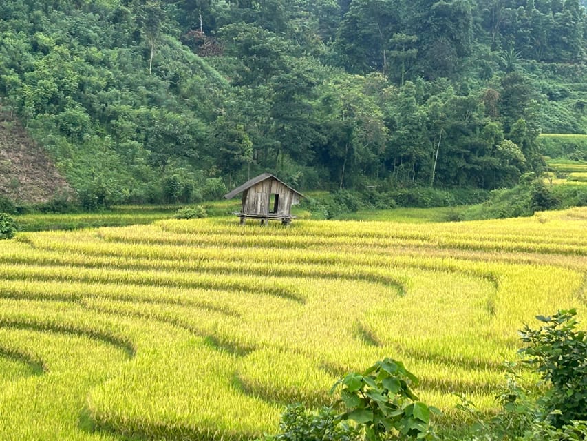 Sapa: Motorbike Tour 1 Day Visit Waterfalls & Local Villages - Riding, Safety, and Comfort: what you need to know before you go