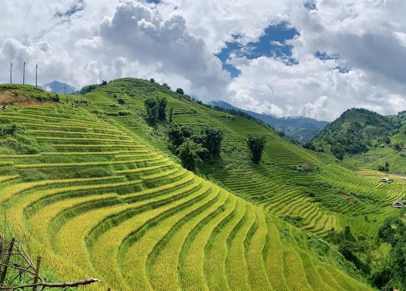Sapa: Motorbike Tour to Hidden Villages & Terraced Fields - The terrace ride that keeps paying off (Muong Hoa Valley views in motion)