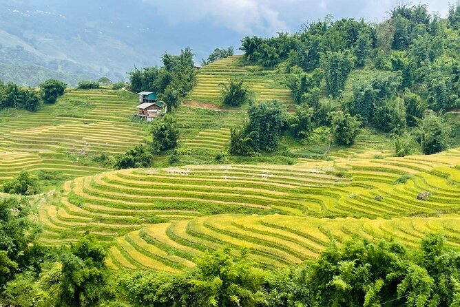 Sapa Motorbike Tour With Local Guide 1 Day - Waterfalls, Villages - Tram Ton Pass and Love Waterfall: Golden Stream to the Forest