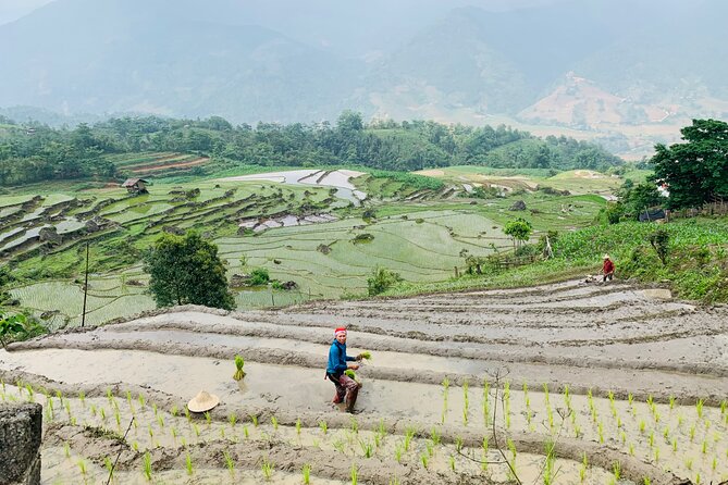 Sapa Motorbike Tour With Local Guide 1 Day - Waterfalls, Villages - The Value Math: What $65 Really Buys You