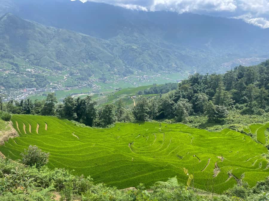 Sapa: Muong Hoa Valley View & Villages Trek with Local Guide - Key highlights you can count on