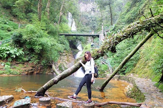 Sapa Private Car Tour to Silver & Love Waterfalls and Lonely Tree - Why This Route Works So Well in Sapa