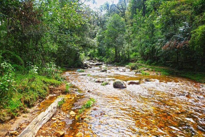 Sapa Private Car Tour to Silver & Love Waterfalls and Lonely Tree - Stop 1: Thác Bạc (Silver Falls) at the Start of the Day