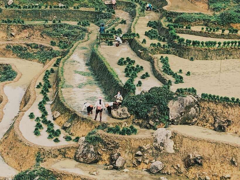 Sapa: Private Highlights Day Tour with Lunch - Why Sa Pa Works Better With a Private Highlights Plan