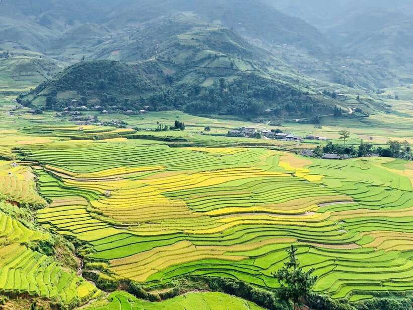 Sapa: Private Highlights Day Tour with Lunch - Village Circuit: Cat Cat, Y Linh Hồ, Lao Chải, and Ta Van