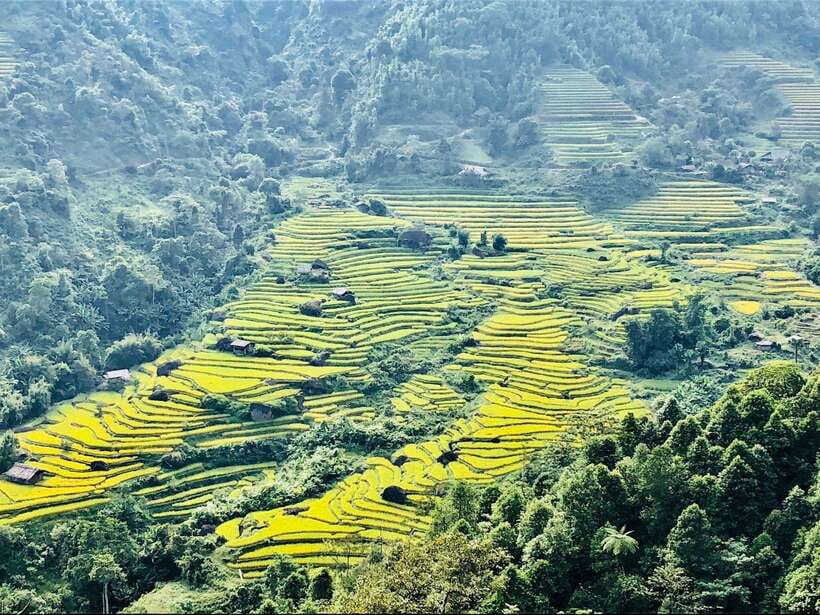 Sapa: Private Highlights Day Tour with Lunch - O Quy Ho Pass and The Lonely Tree: the Classic Viewpoint Stop