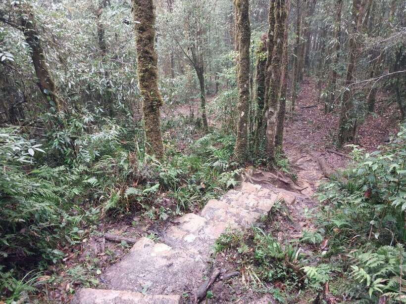Sapa: Private Highlights Day Tour with Lunch - What to Pack and How to Manage the Pace