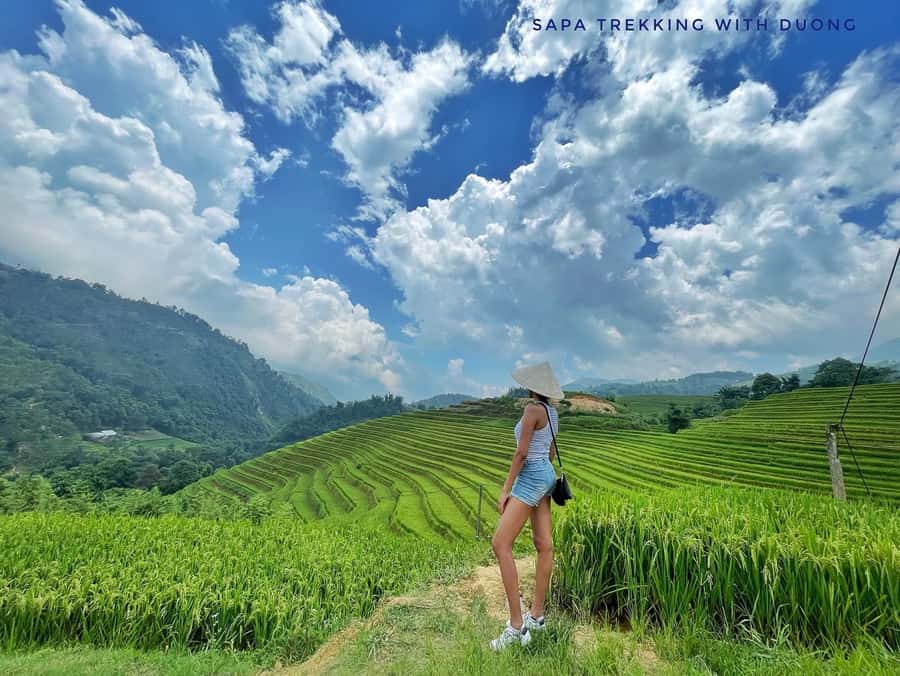 Sapa: Private The Most Beautiful Terraced Fields Trekking - Pickup at 9:30 and That First 15 Minutes of Calm