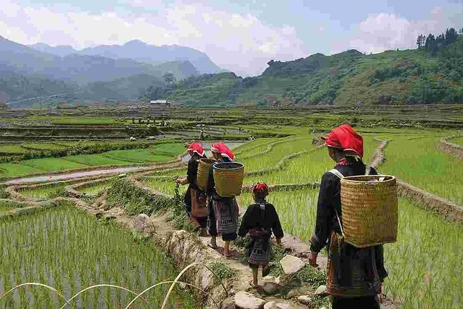 Sapa Private Trekking Through Rice Terraced Fields - 1Day - Town pickup, a 9:00am start, and a schedule that stays simple