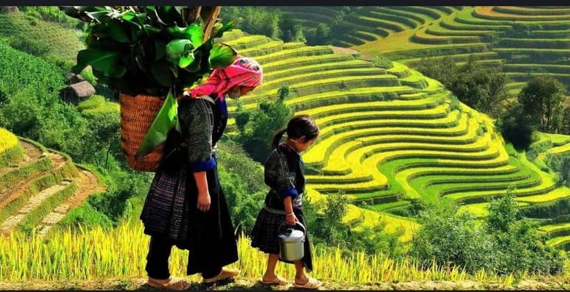 Sapa: Ta Phin Village Trek & Red Dao Herbal Bath - Suoi Ho village (Black H’mong): calm farming life up close