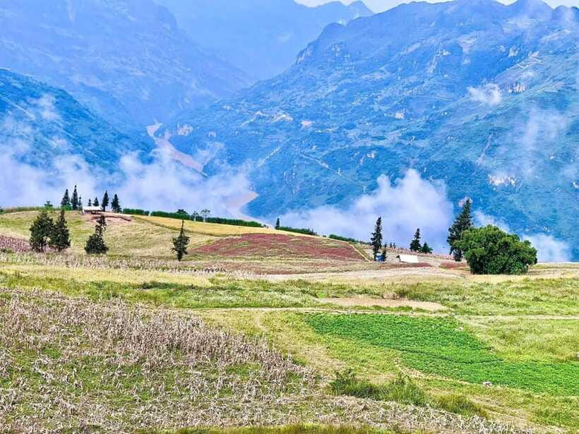 Sapa: Ta Phin Village Trek with Lunch and Bathing Experience - Rice paddies and Ma Tra lunch: why this stop matters