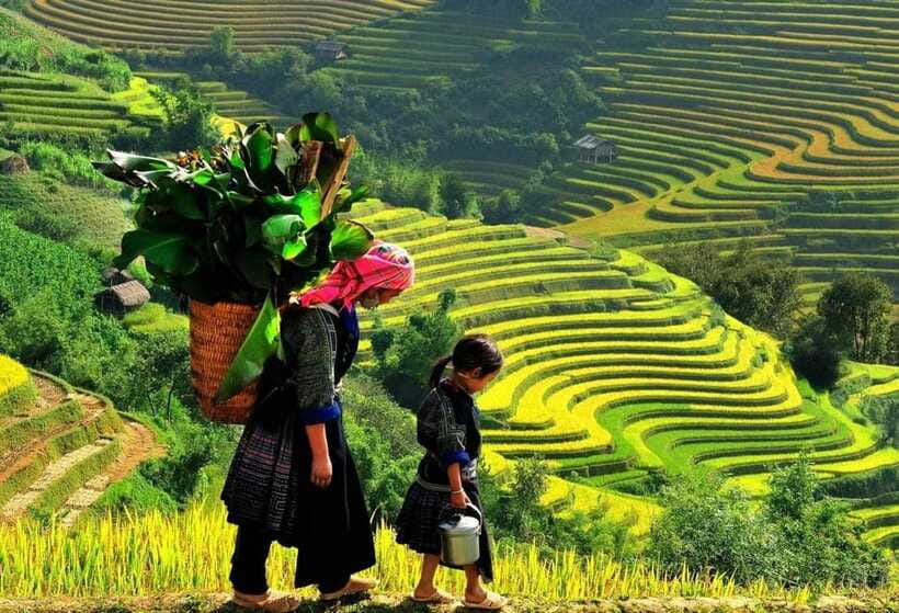 Sapa: Ta Phin Village Trek with Lunch and Bathing Experience - Ta Phin village, Red Dao herbal medicine, and brocade work