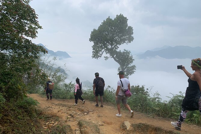 Sapa The Hidden Trail Trek 1 Day - Mountain & Rice Valley - Dragon Jaw Mountain (Ham Rong): the view you climb for