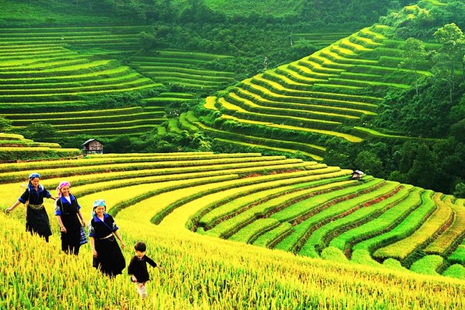 Sapa Tours 2D1N stay At 4 stars hotel nice Sleeping Bus TRANSFER - Muong Hoa Valley Trekking: Beautiful Scenery and the Real Walking Part