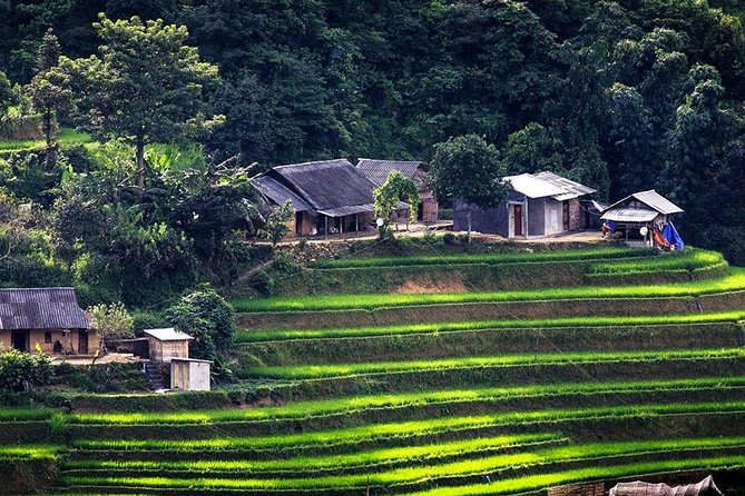 Sapa Tours 2D1N stay At 4 stars hotel nice Sleeping Bus TRANSFER - Y Linh Ho, Lao Chai, and Ta Van: Terraces, Village Life, and Photo Breaks