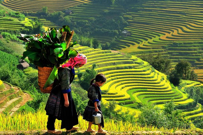 Sapa Tours 2D1N stay At 4 stars hotel nice Sleeping Bus TRANSFER - Hotel in Sapa Town and Included Meals: Comfort With Practical Upside