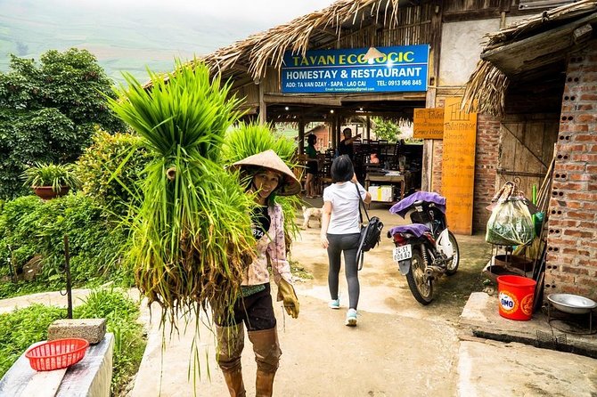 Sapa trekking 2days by bus from Hanoi ( over night in homestay) - Should You Book This Sa Pa Trek?