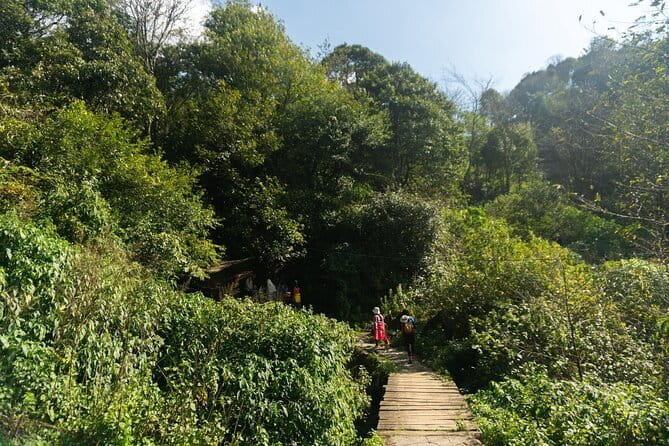 Sapa Trekking & Cooking with H’Mong Locals –Local Culture - Who this tour is best for